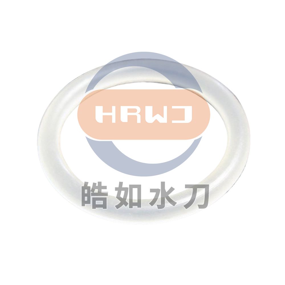 #05092887噴嘴密封支撐環.jpg